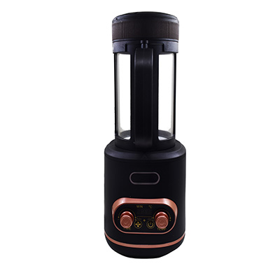 Automatic Household Caffee Bean Roaster
